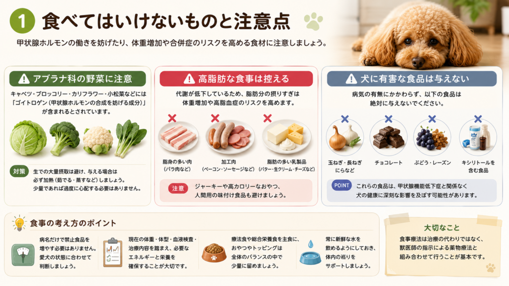 犬の甲状腺機能低下症で注意したい食べ物