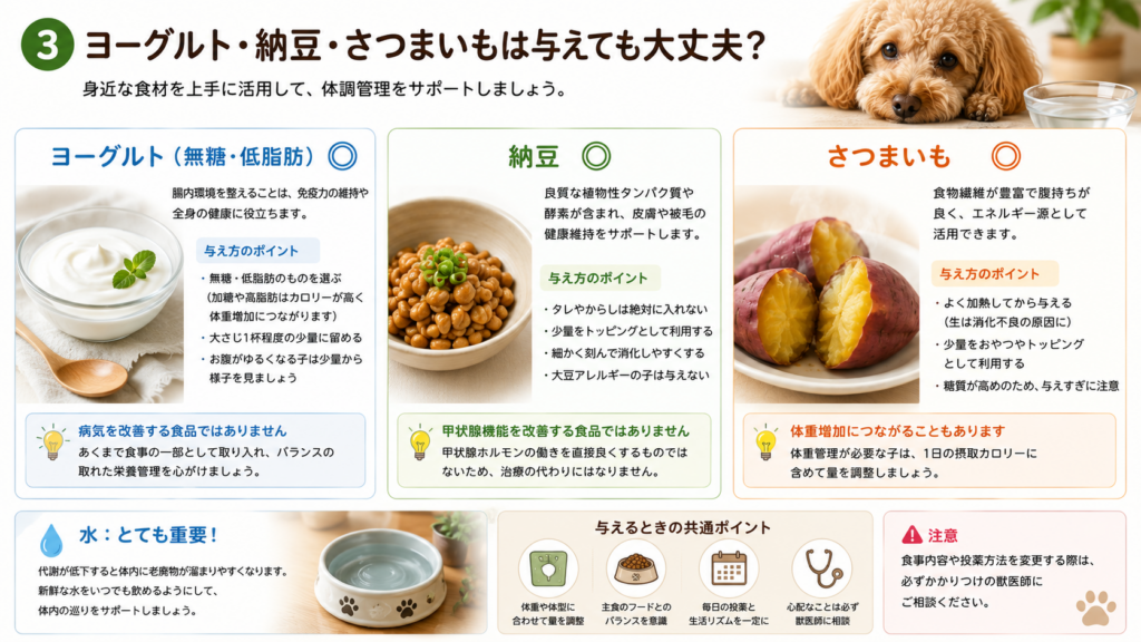甲状腺機能低下症の犬とヨーグルトなどの食材
