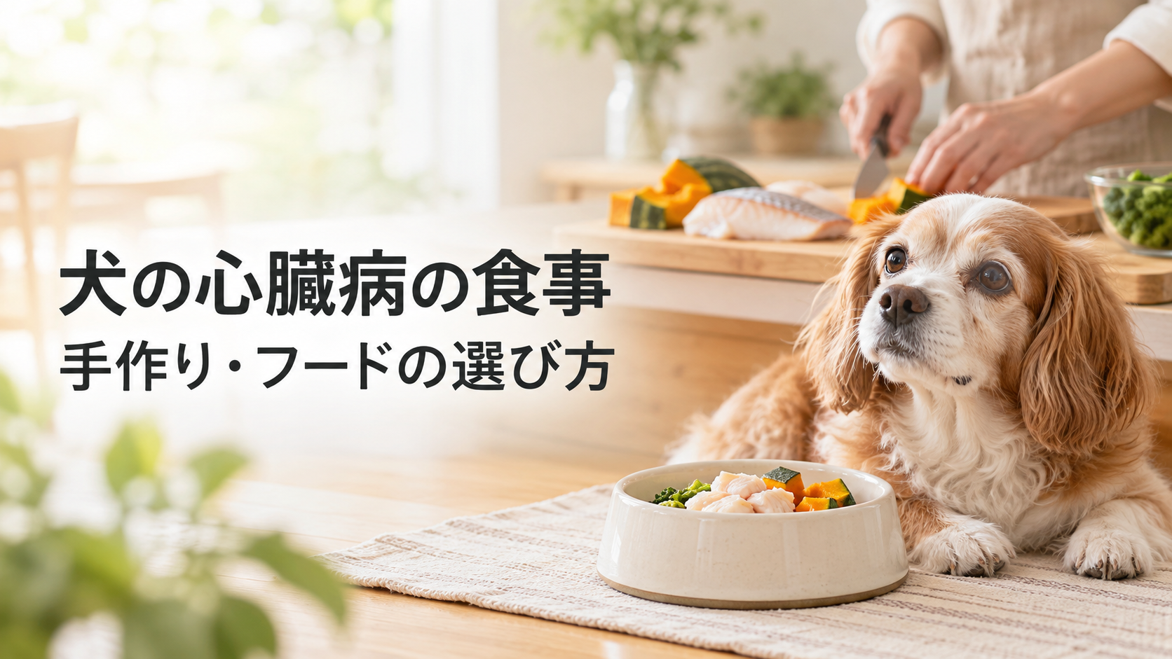 犬の心臓病の食事と手作り・フードの選び方