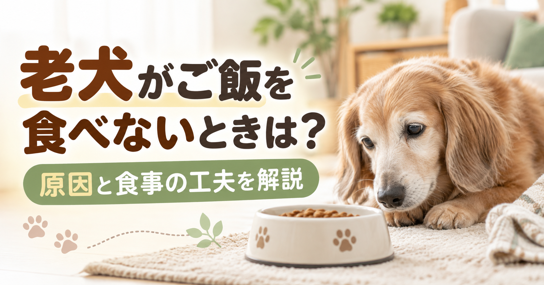 老犬が食べない原因と対策！食欲不振を救う食事の工夫と和漢フードの魅力