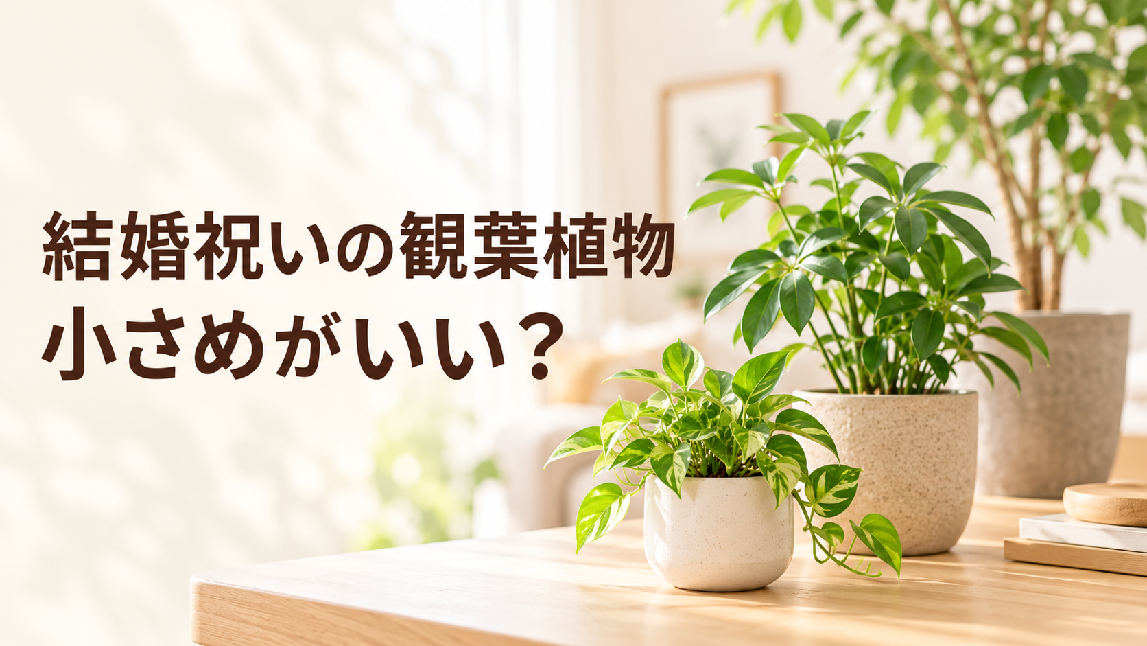結婚祝いの観葉植物は小さめがいい？4号・6号・8号の選び方