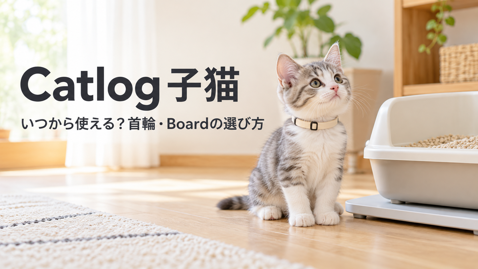 子猫とトイレのそばで、Catlogの首輪とBoardを検討するイメージ