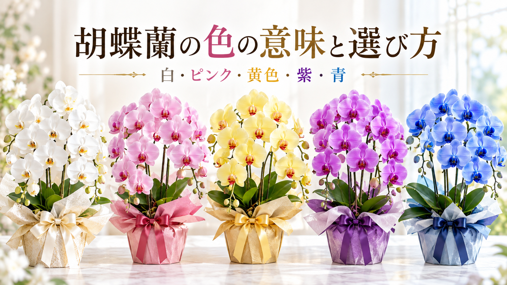 胡蝶蘭の色の意味と選び方｜白・ピンク・黄色・紫・青はどんな贈り物に向く？
